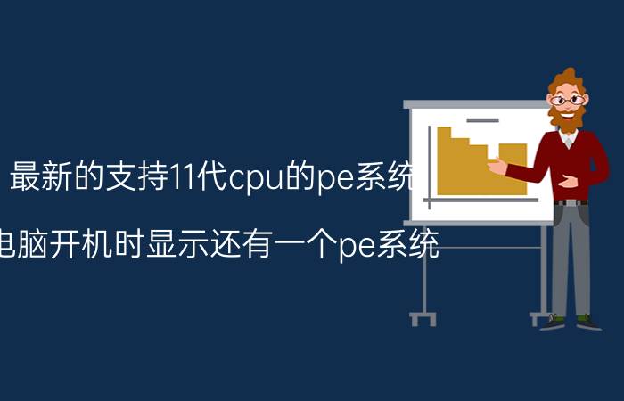 最新的支持11代cpu的pe系统 电脑开机时显示还有一个pe系统？